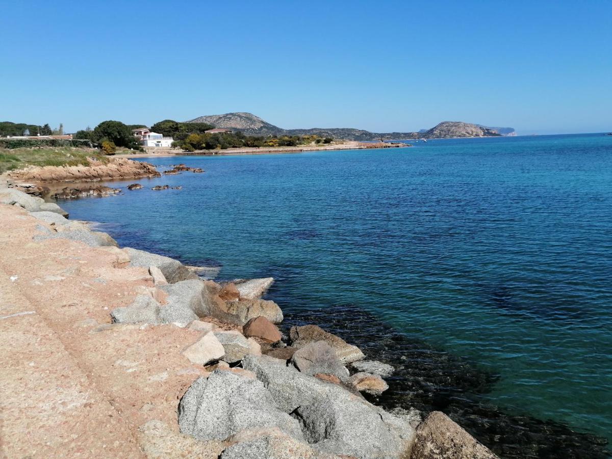 Aria Di Vacanza - Molara Loiri Porto San Paolo المظهر الخارجي الصورة